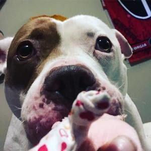 Meet your Posher, Jess